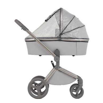 Дитяча коляска Anex Flo 2 в 1 Lungo