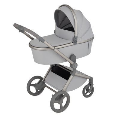 Дитяча коляска Anex Flo 2 в 1 Lungo