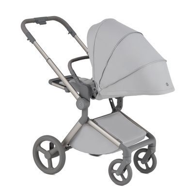 Дитяча коляска Anex Flo 2 в 1 Lungo
