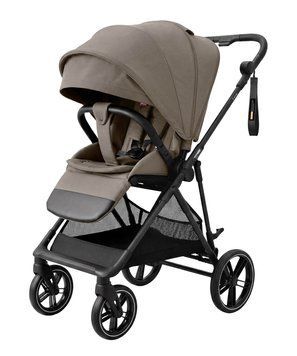 Прогулянкова коляска CARRELLO Extra CRL-6532