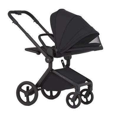 Дитяча коляска Anex Flo 2 в 1 Lungo