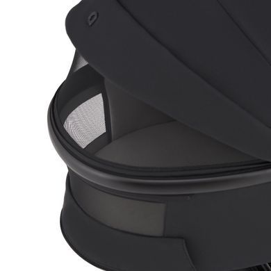 Дитяча коляска Anex Flo 2 в 1 Lungo