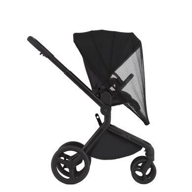 Дитяча коляска Anex Flo 2 в 1 Lungo