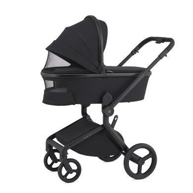 Дитяча коляска Anex Flo 2 в 1 Lungo