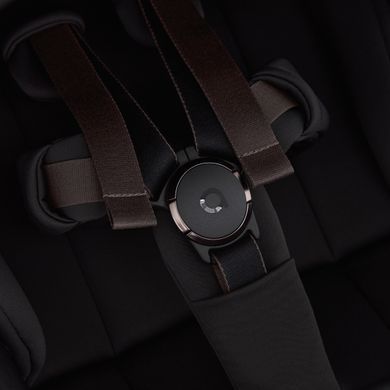 Дитяча коляска Anex Flo 2 в 1 Lungo