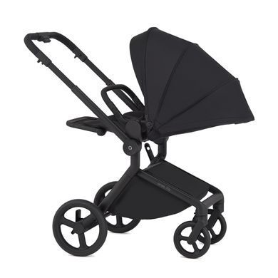 Дитяча коляска Anex Flo 2 в 1 Lungo