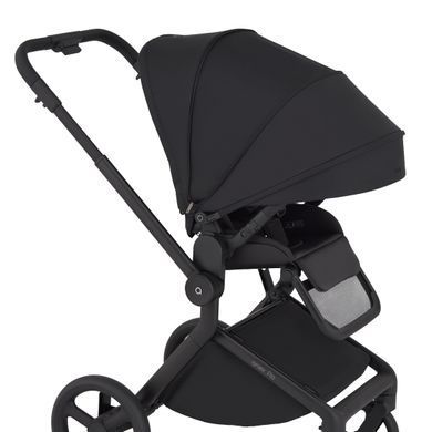 Дитяча коляска Anex Flo 2 в 1 Lungo