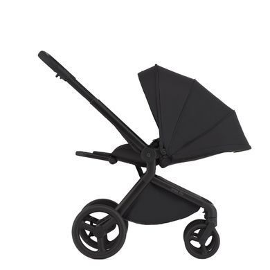 Дитяча коляска Anex Flo 2 в 1 Lungo