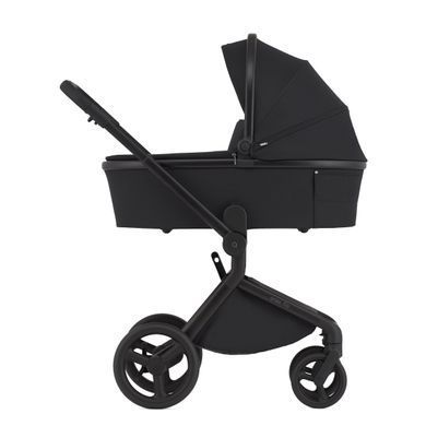 Дитяча коляска Anex Flo 2 в 1 Lungo
