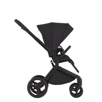 Дитяча коляска Anex Flo 2 в 1 Lungo