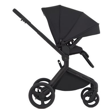 Дитяча коляска Anex Flo 2 в 1 Lungo