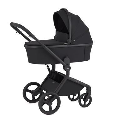 Дитяча коляска Anex Flo 2 в 1 Lungo