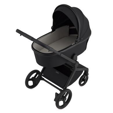 Дитяча коляска Anex Flo 2 в 1 Lungo