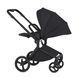 Дитяча коляска Anex Flo 2 в 1 Lungo