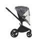 Дитяча коляска Anex Flo 2 в 1 Lungo
