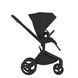 Дитяча коляска Anex Flo 2 в 1 Lungo