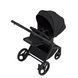 Дитяча коляска Anex Flo 2 в 1 Lungo