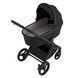 Дитяча коляска Anex Flo 2 в 1 Lungo