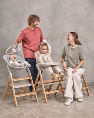 Стілець для годування CARRELLO Ergo CRL-16701
