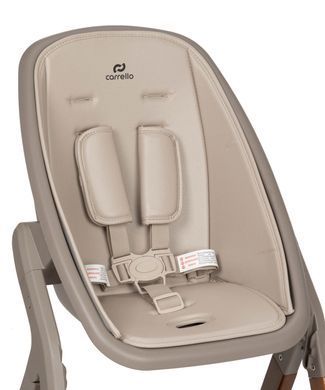 Стілець для годування CARRELLO Ergo CRL-16701