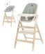 Стілець для годування CARRELLO Ergo CRL-16701
