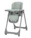 Стілець для годування CARRELLO Junior CRL-1412