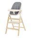 Стілець для годування CARRELLO Ergo CRL-16701