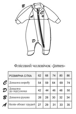 Флісовий чоловічок "James", світло-сірий 62 (0-3 міс.)