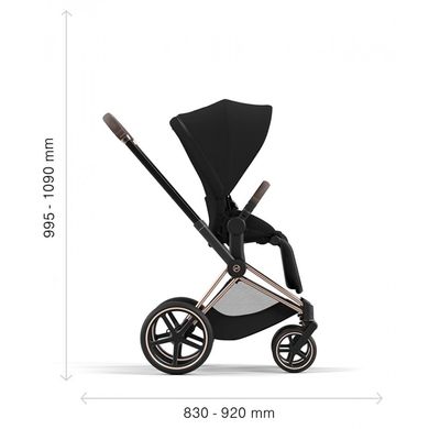 Коляска 2 в 1 Cybex Priam 4.0 Rose Gold Simply Flowers Pink