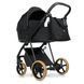 Коляска 2 в 1 Roan Ivi 2.0