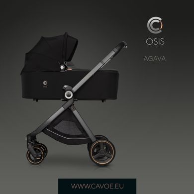 Дитяча коляска 2 в 1 Cavoe Osis 2.0 Agava