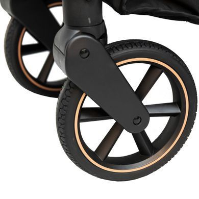 Коляска прогулянкова ЕSPIRO FLAME 110 timeless black