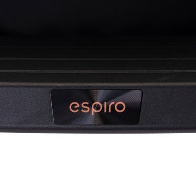 Коляска прогулянкова ЕSPIRO FLAME 110 timeless black