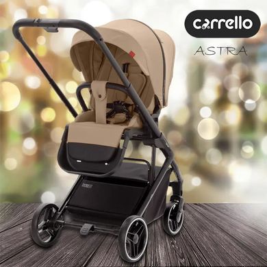 Прогулочная коляска CARRELLO Alfa+ CRL-5508 Graphite Grey /1/