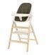 Стілець для годування CARRELLO Ergo CRL-16701