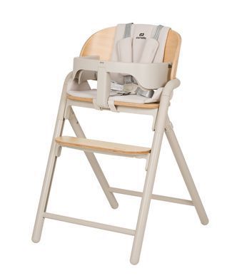 Стілець для годування CARRELLO Tenero CRL-9507