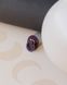 Пустушка Bibs Colour Latex Plum розмір 2