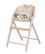 Стілець для годування CARRELLO Tenero CRL-9507