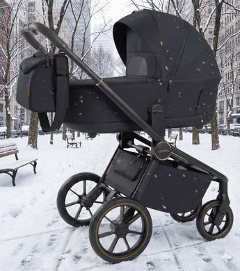 Коляска універсальна CARRELLO Epica CRL-8510 (2in1) Space Black /1/