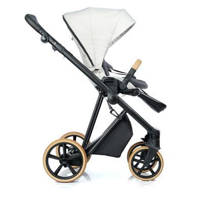 Коляска 2 в 1 Roan Ivi 2.0