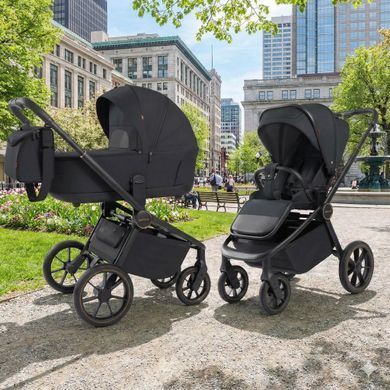 Коляска універсальна CARRELLO Epica CRL-8510 (2in1) Space Black /1/