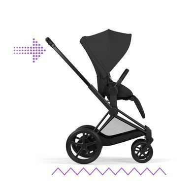 Візок Cybex ePriam 2 в 1 RG Sepia Black