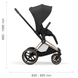 Візок Cybex ePriam 2 в 1 RG Sepia Black