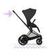 Візок Cybex ePriam 2 в 1 RG Sepia Black