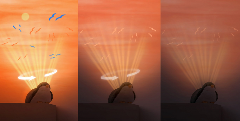 Шеллі Пташка - Нічник з рухомою проекцією заходу сонця і літаючих птахів, із заспокійливими мелодіями