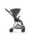 Чохол тканинний для прогулянкового блоку Cybex Mios Simply Flowers Beige