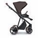 Коляска 2 в 1 Roan Ivi 2.0