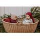 Пустушка Bibs Colour Latex Dark oak розмір 2