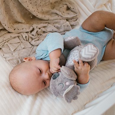 Іграшка м'яка "Коала Коко" (18*20 см) /"Babyono"