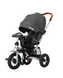 Велосипед триколісний TILLY TRAVEL T-387/1 Сірий льон /1/